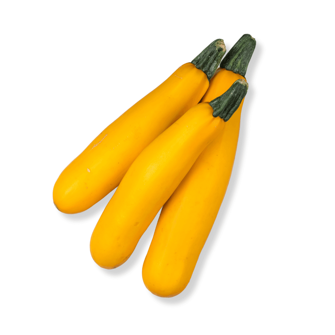 ORGANIC YELLOW ZUCCHINI
