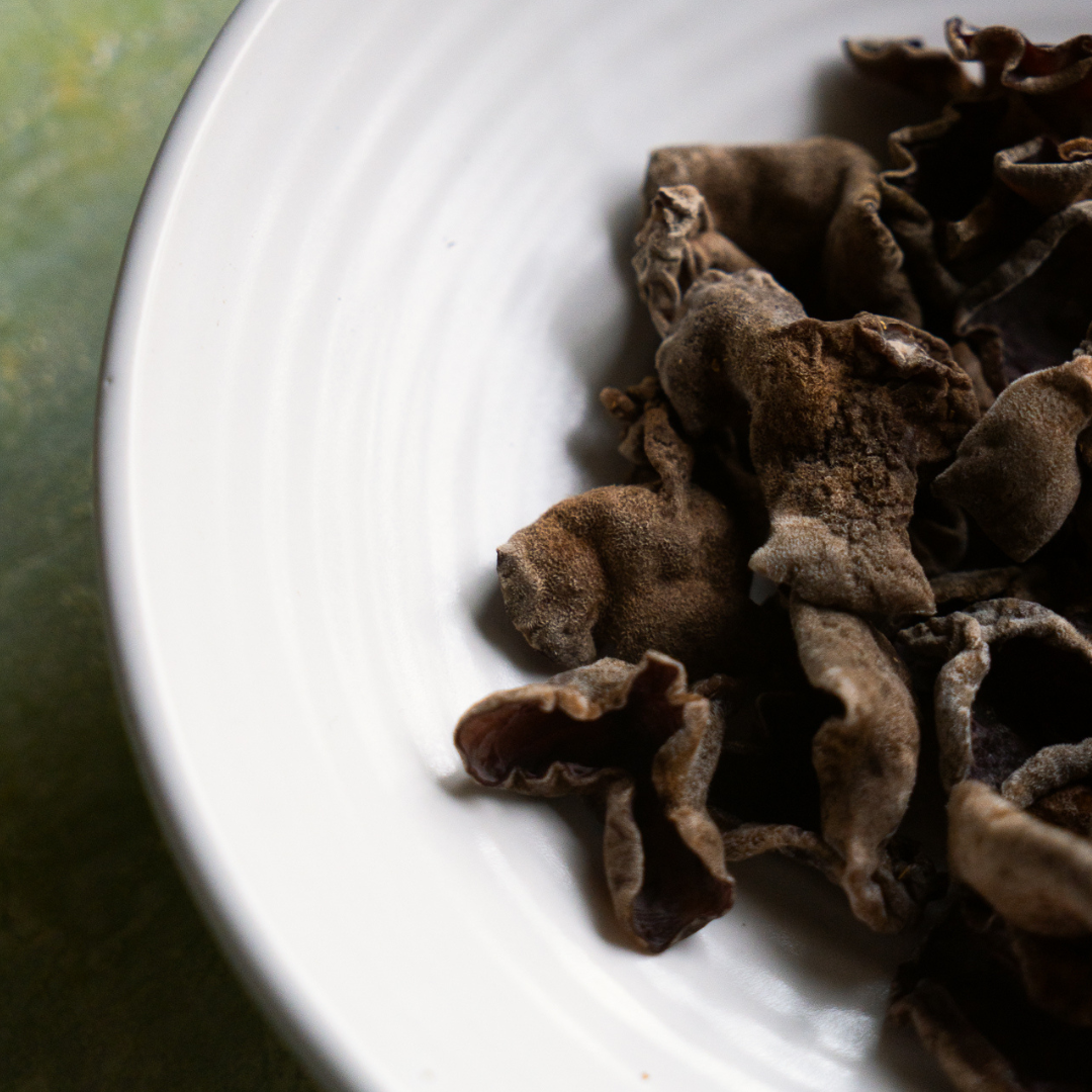 BLACK FUNGUS MUSHROOM
