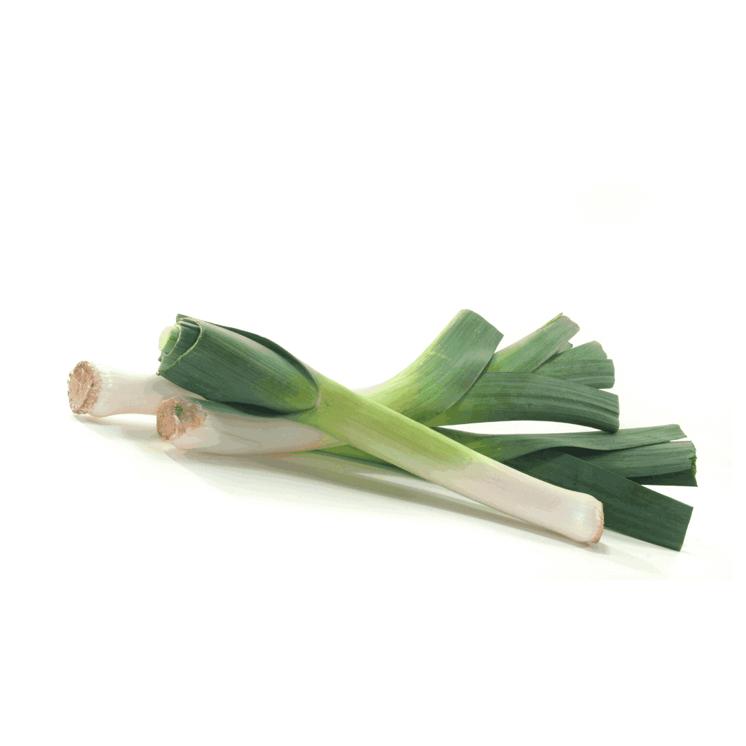 FRESH LEEK