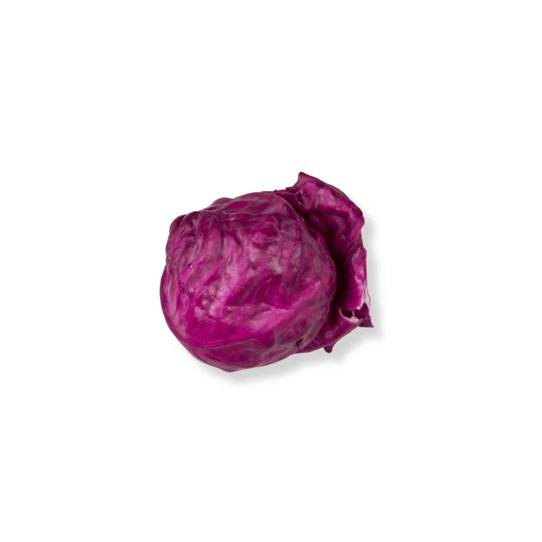 FRESH RED CABBAGE