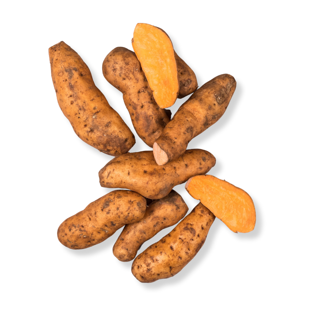 FRESH ORANGE SWEET POTATO