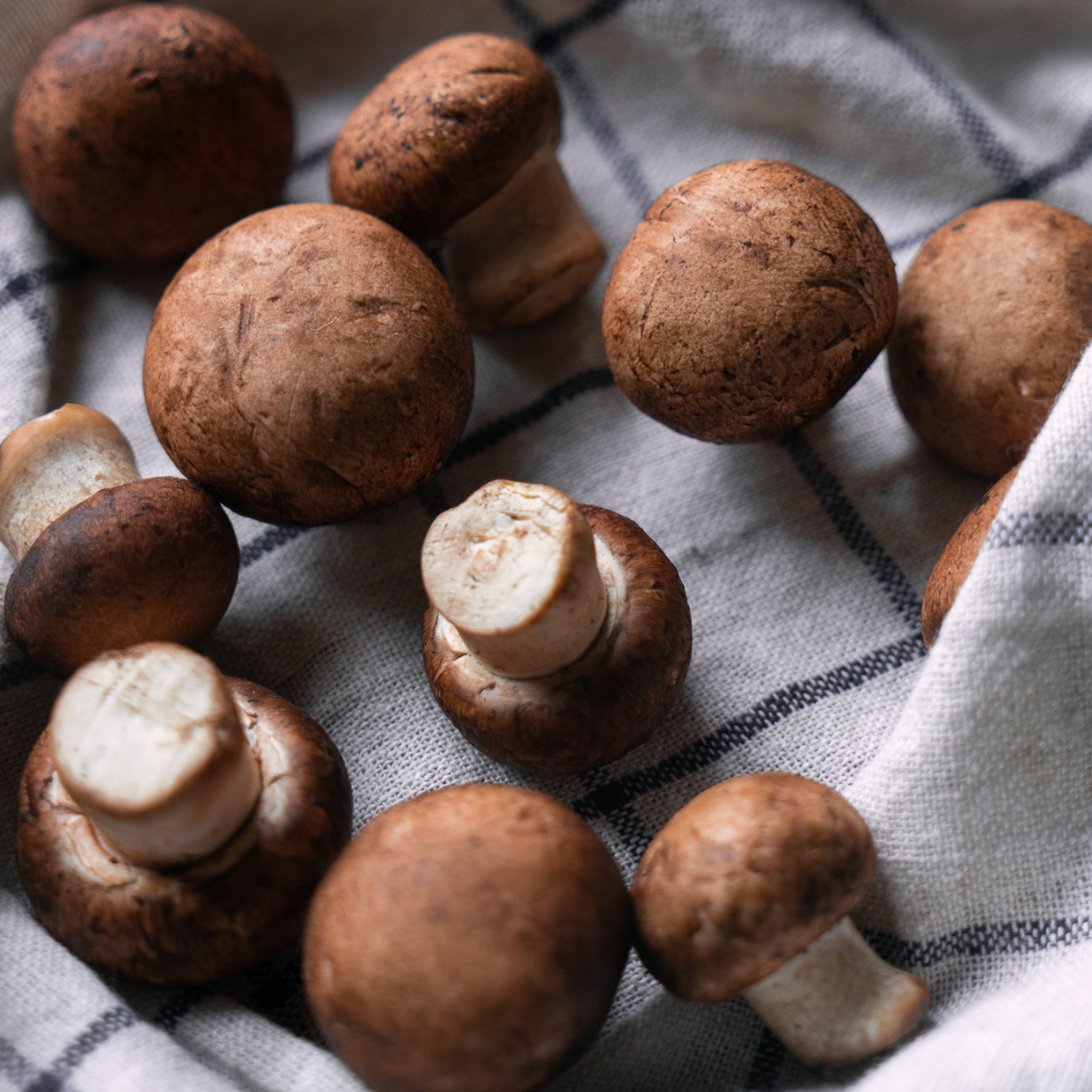 CREMINI MUSHROOM