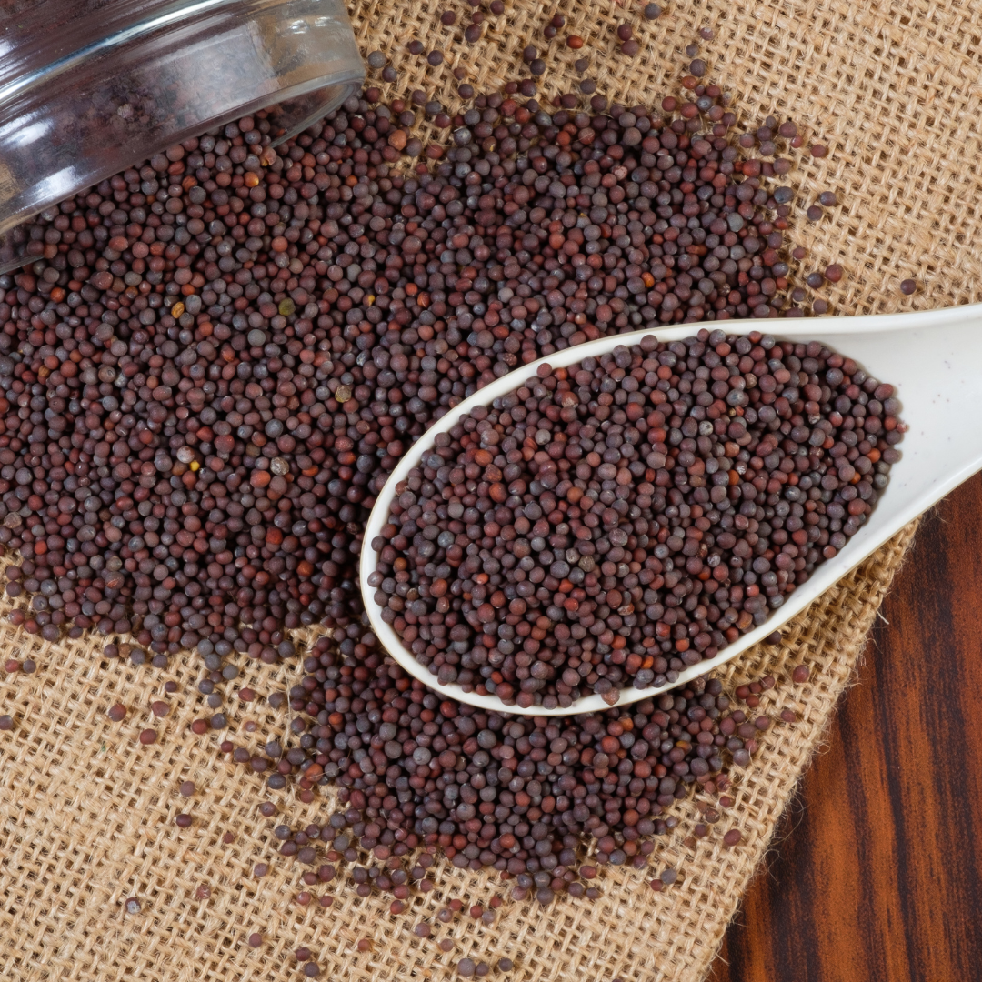 Zama Organics- Organic Mustard Seeds