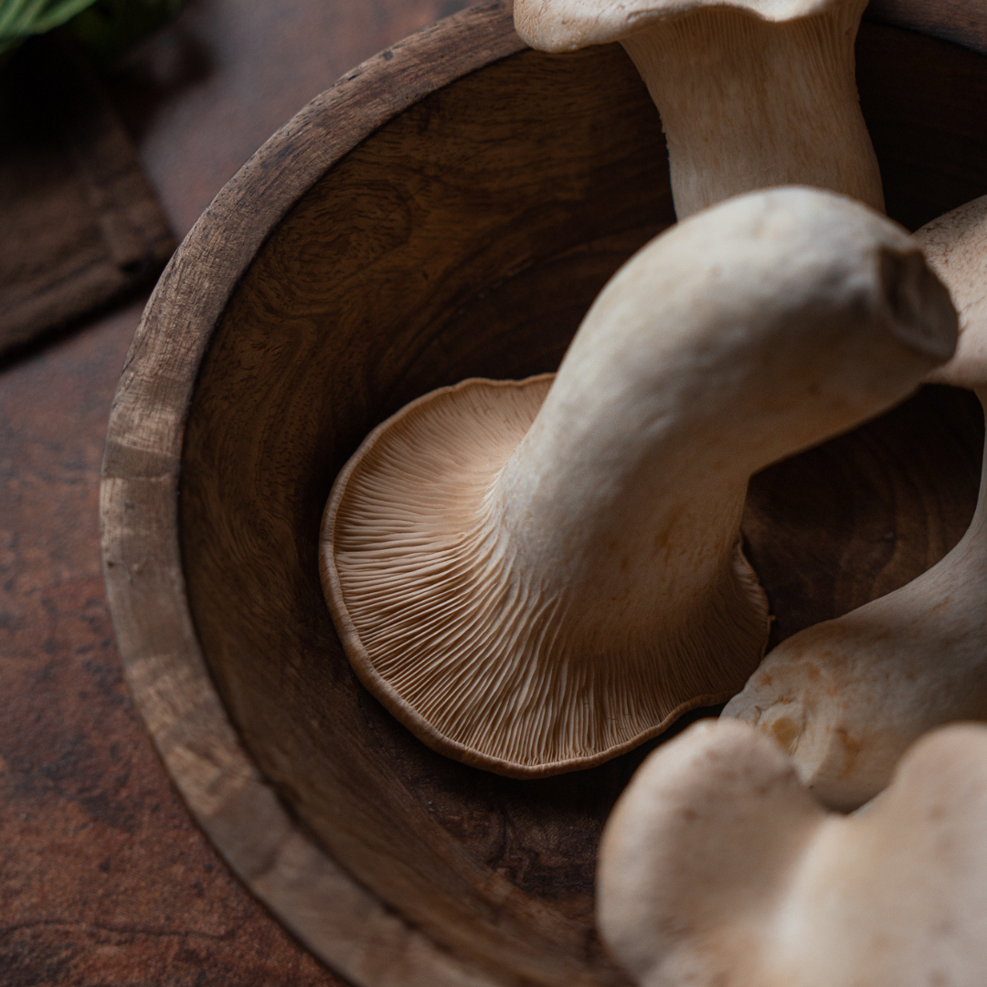KING TRUMPET MUSHROOM