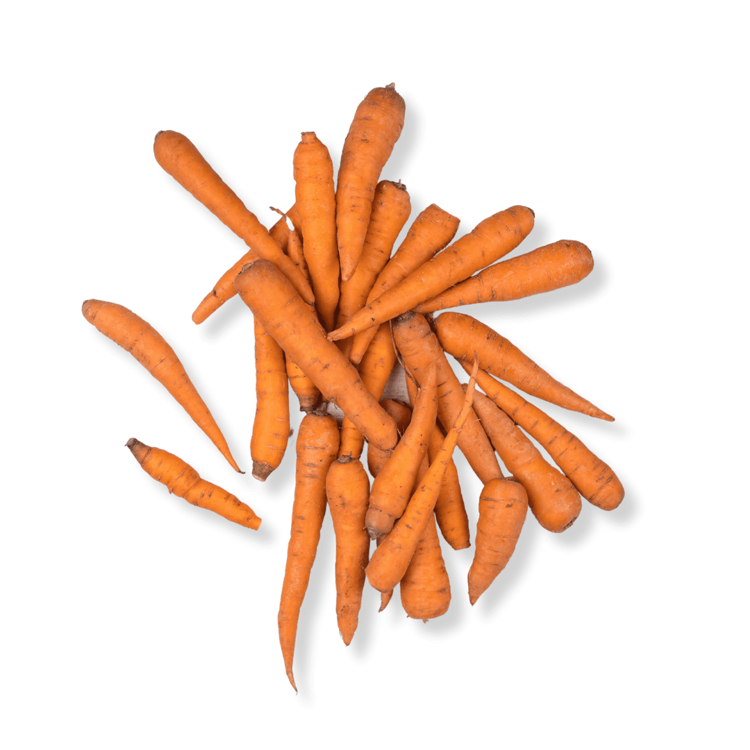 FRESH BABY CARROT