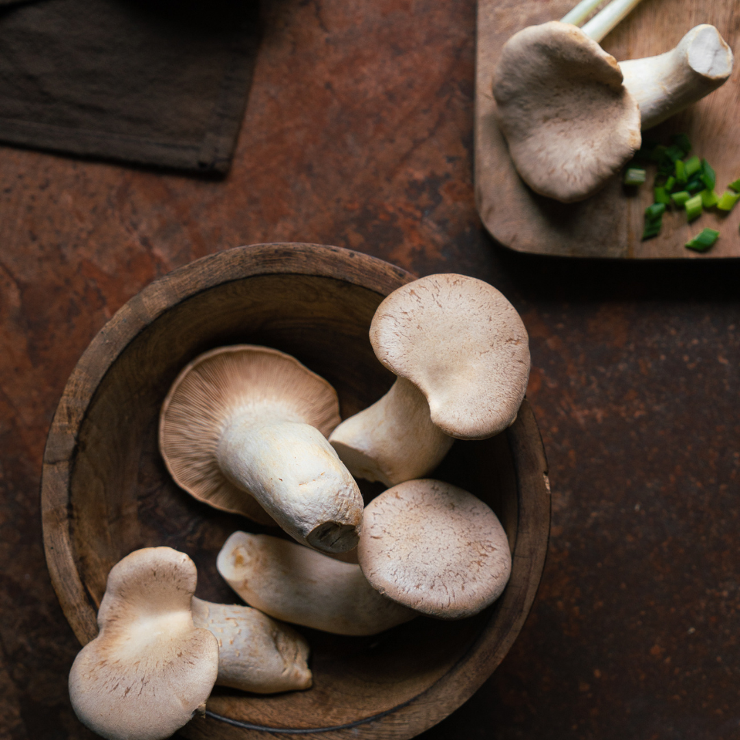 KING TRUMPET MUSHROOM