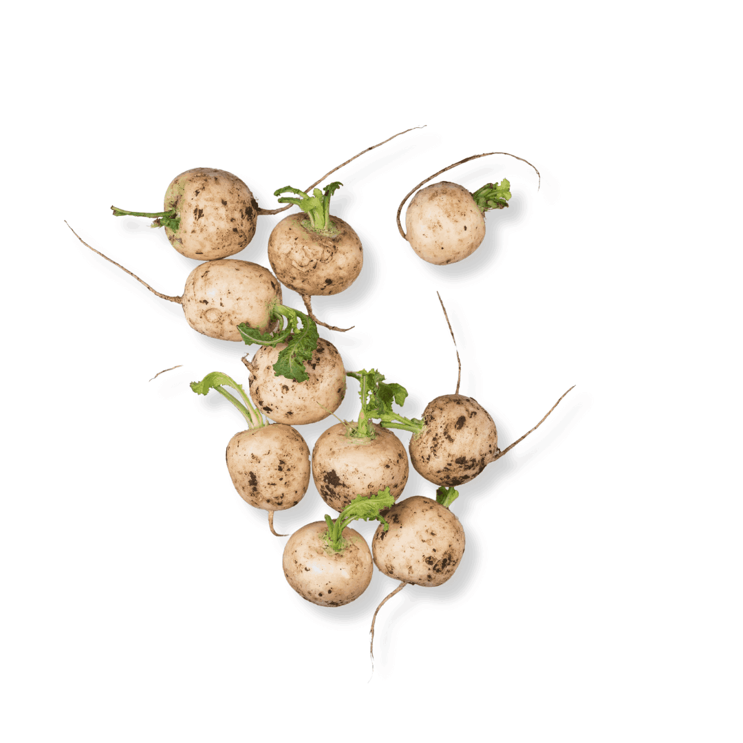 ORGANIC BABY TURNIP