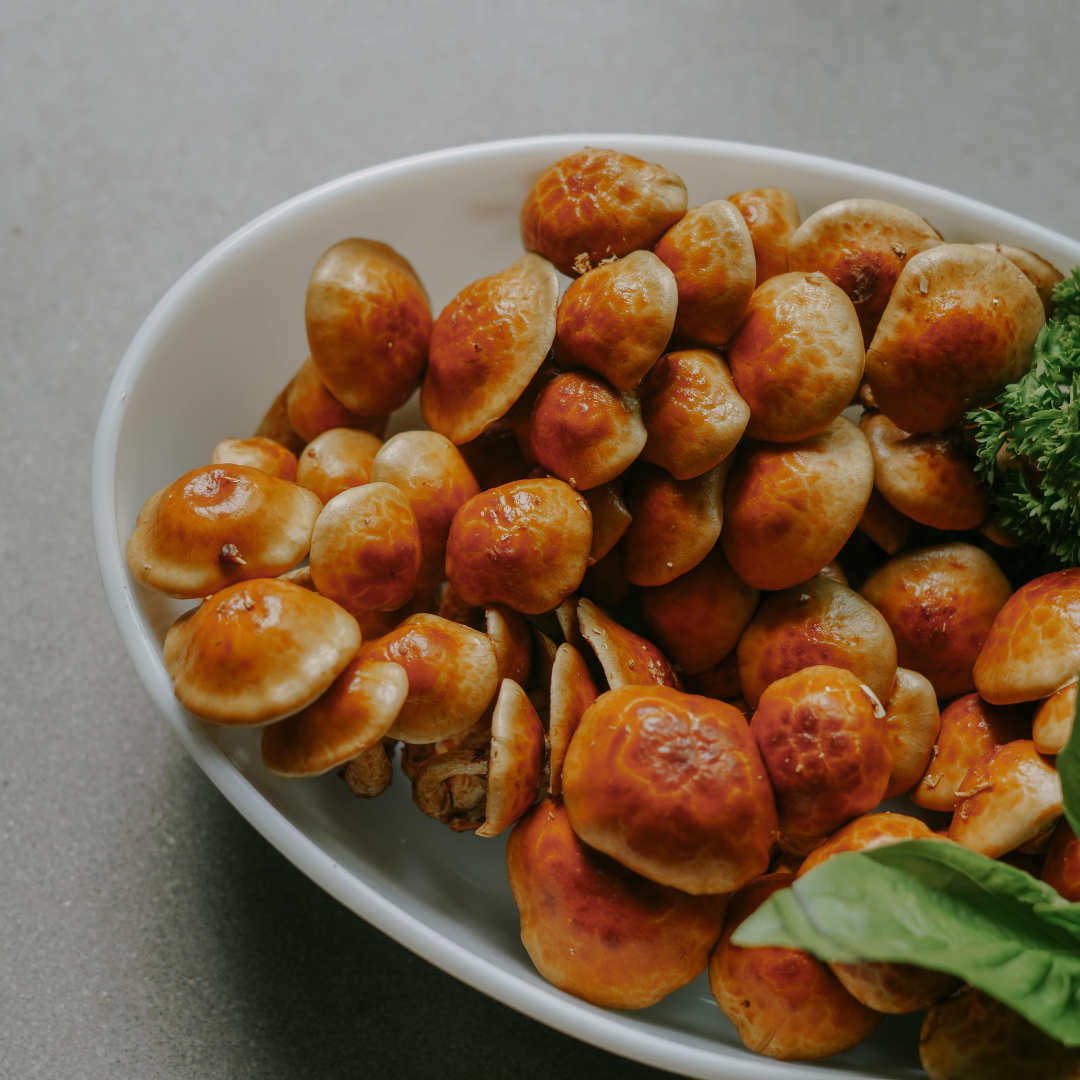 NAMEKO MUSHROOM