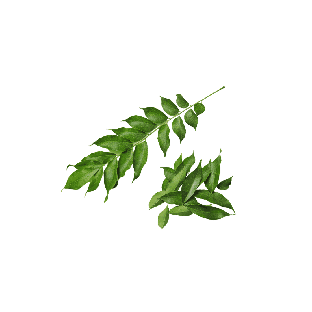 FRESH CURRY LEAVES (KADI PATTA)