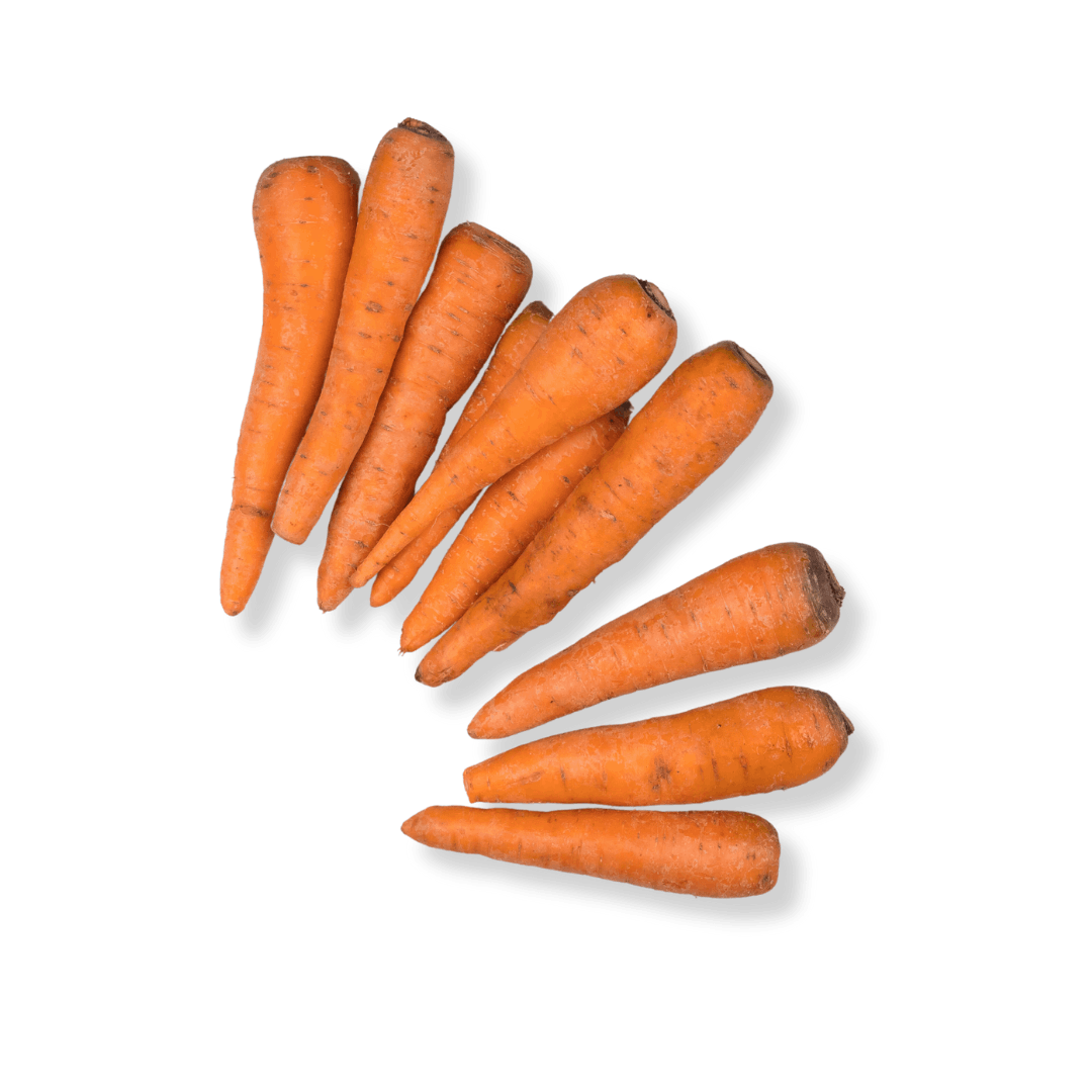 ORGANIC CARROT