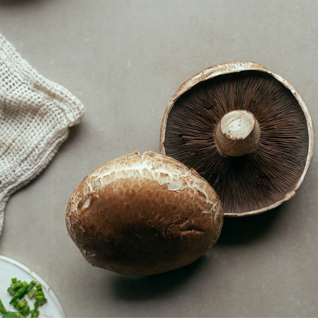 PORTOBELLO MUSHROOM