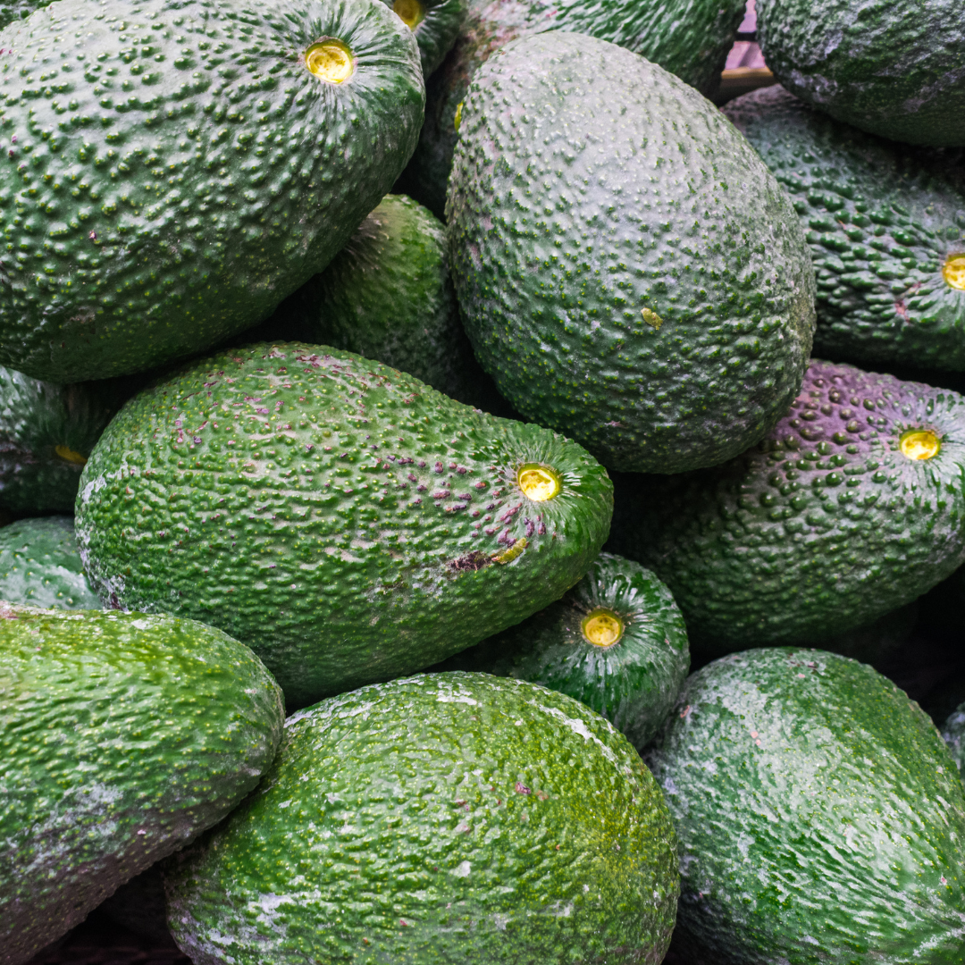 FRESH HASS AVOCADO