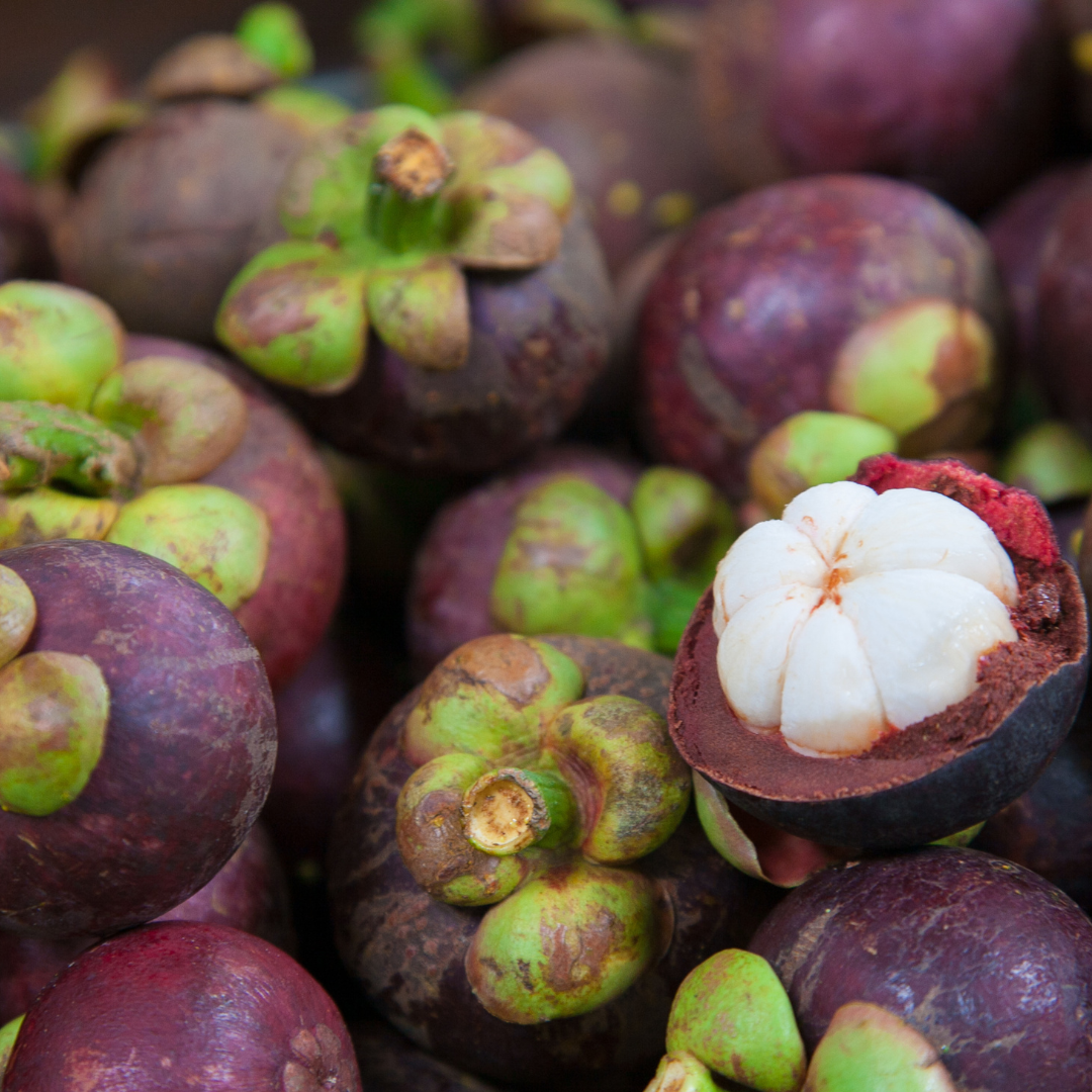 FRESH MANGOSTEEN