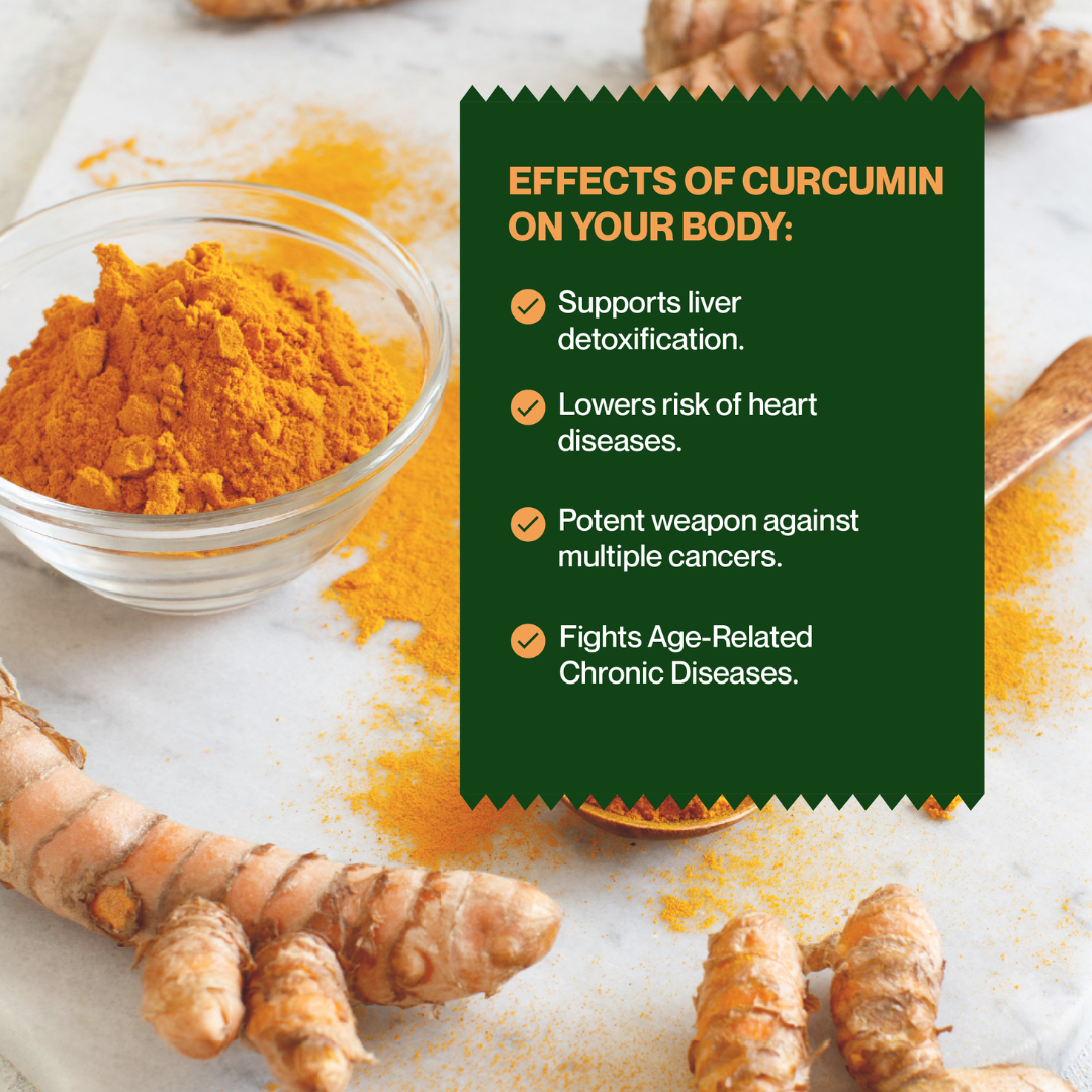 Zama Organics- Lakadong Turmeric Powder