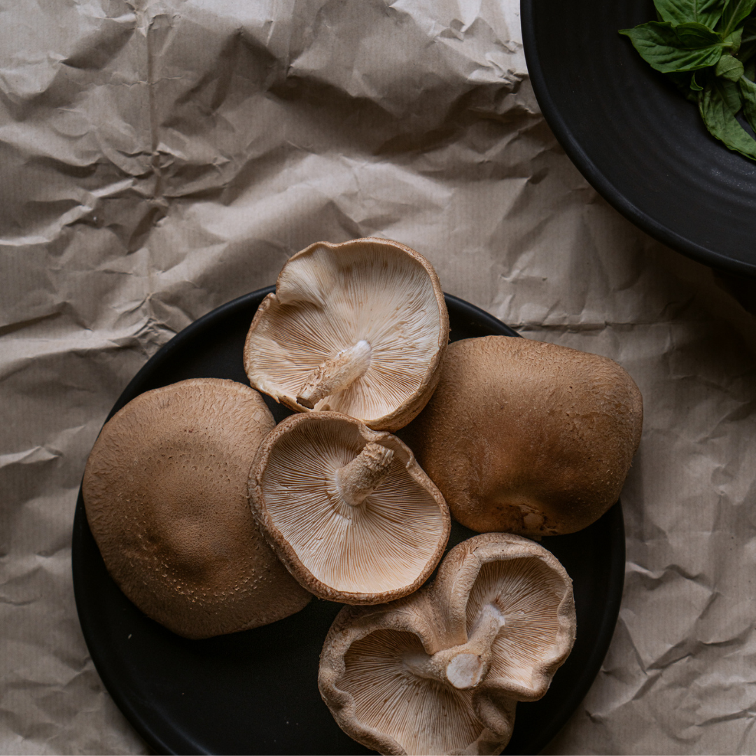 SHIITAKE MUSHROOM