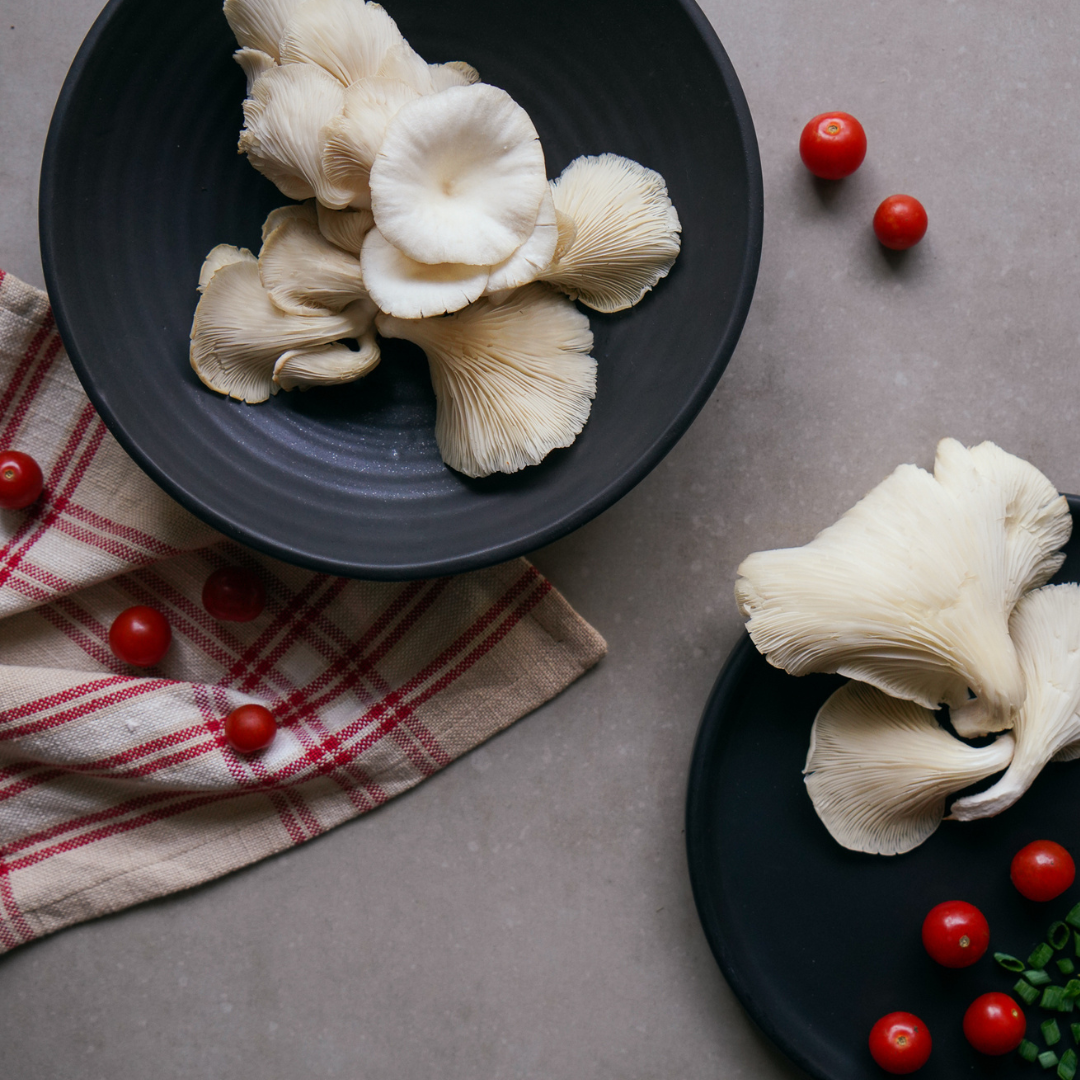 WHITE OYSTER MUSHROOM