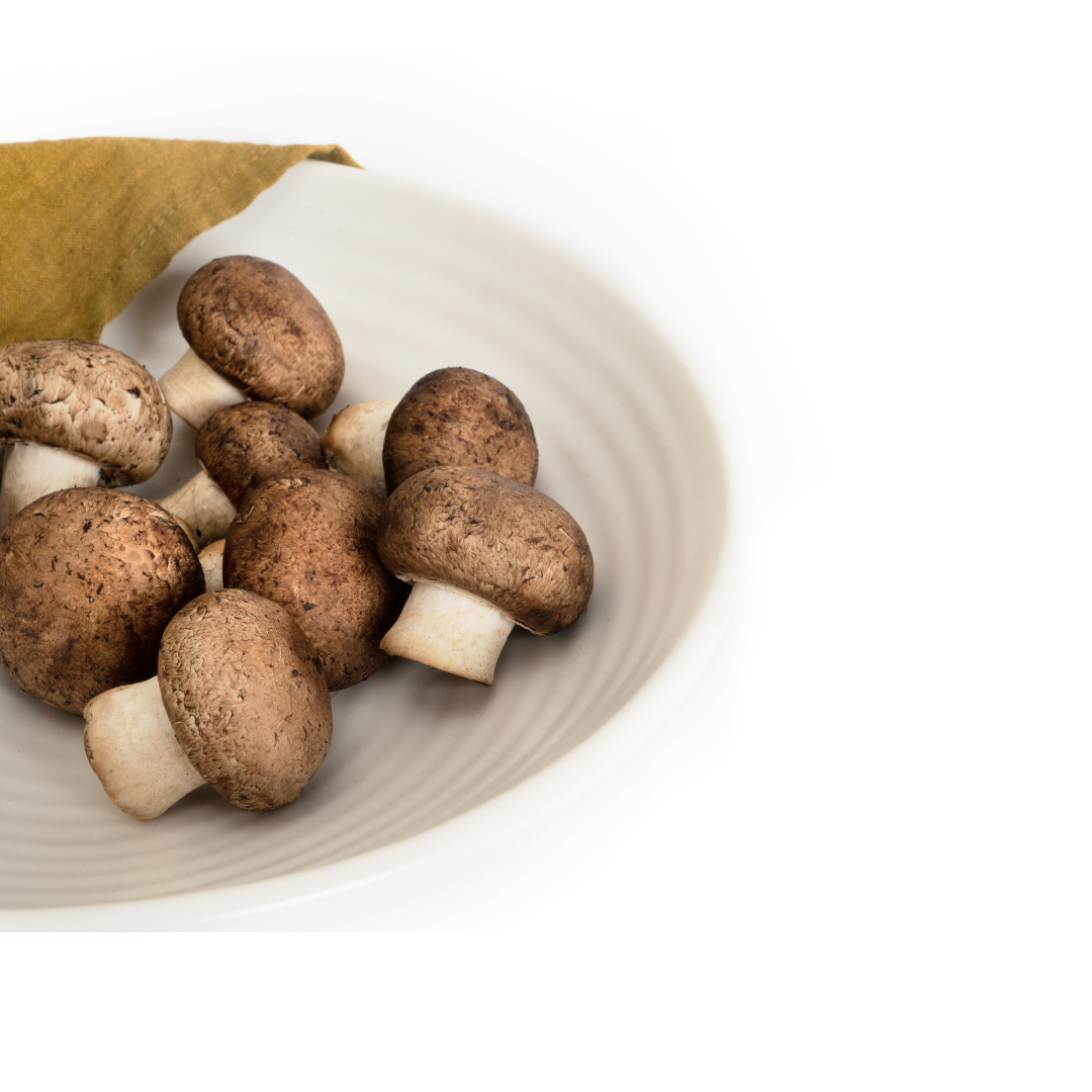 CREMINI MUSHROOM