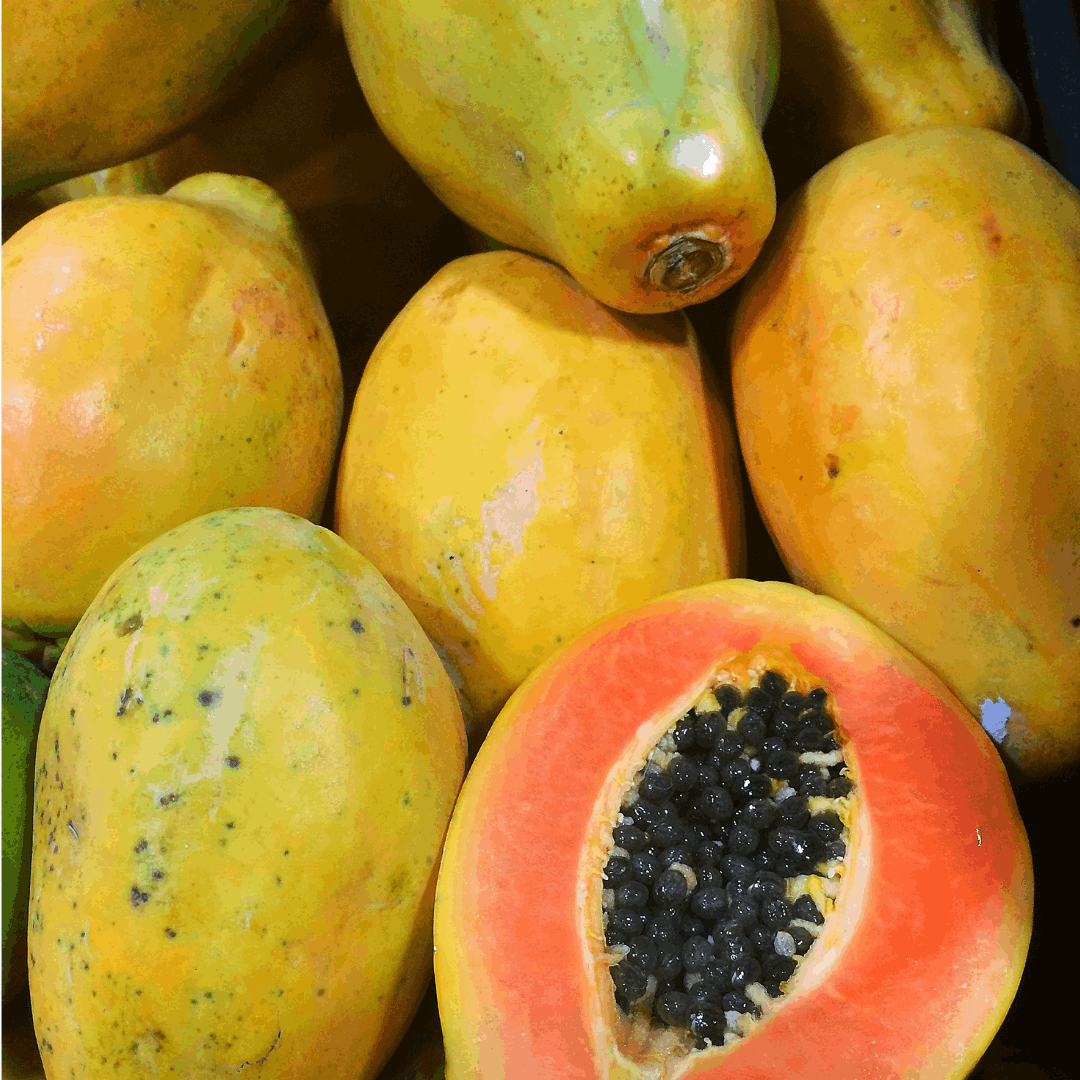 FRESH PAPAYA