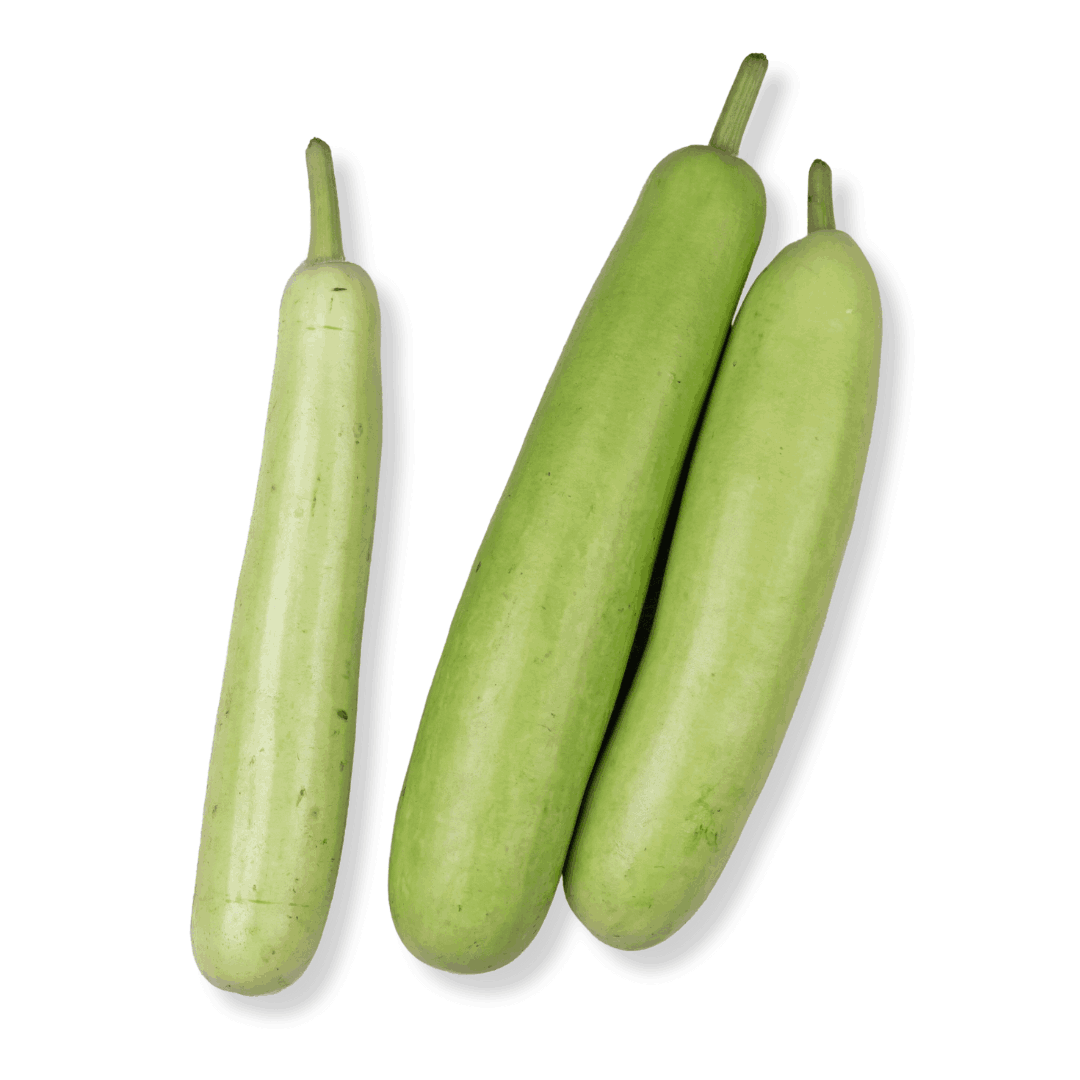 ORGANIC BOTTLE GOURD (DUDHI)