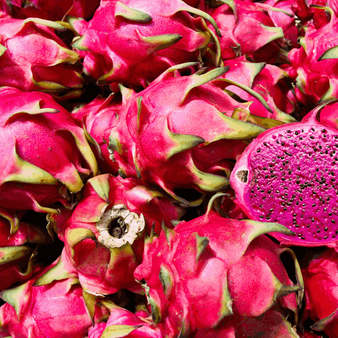 FRESH RED DRAGON FRUIT