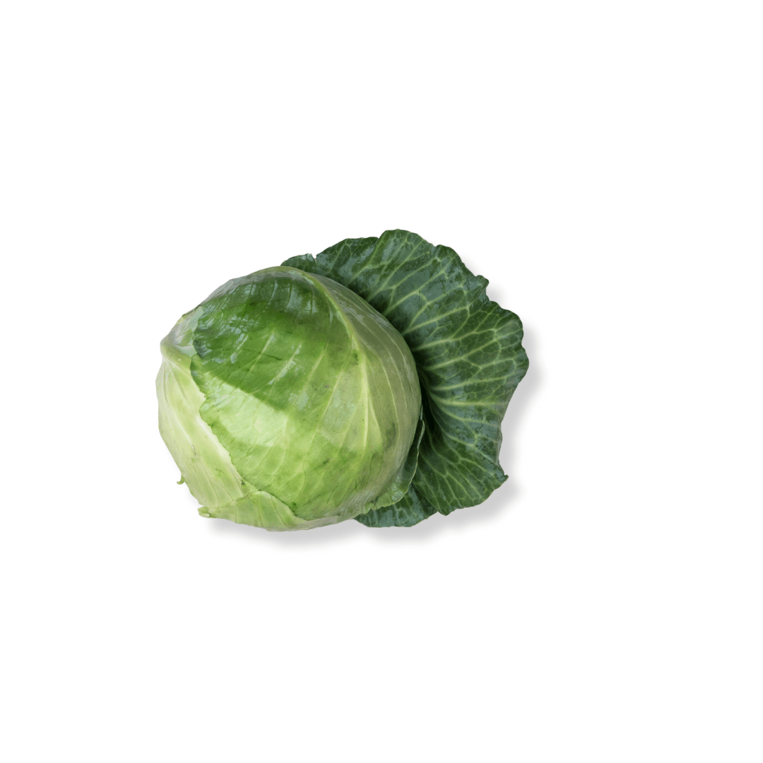 ORGANIC CABBAGE