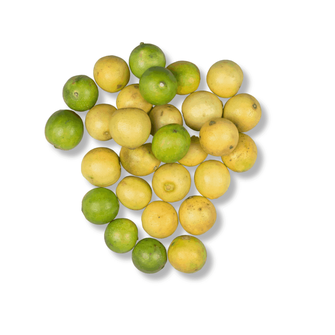 FRESH LEMON