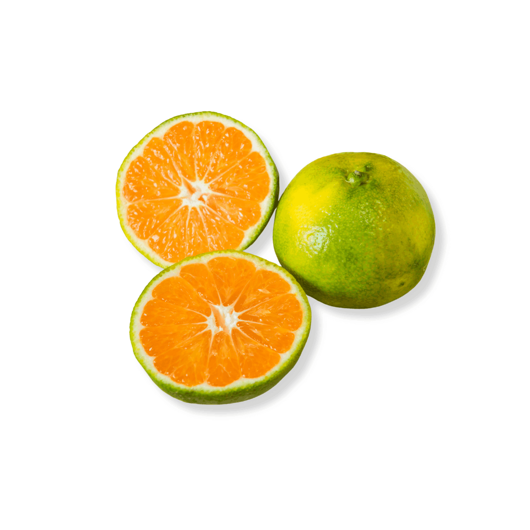 ORGANIC ORANGE