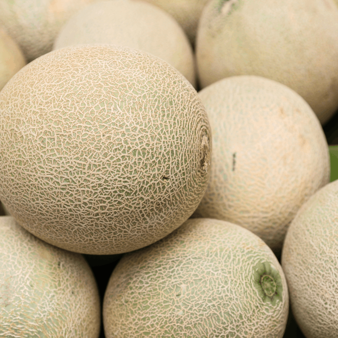 FRESH MUSKMELON