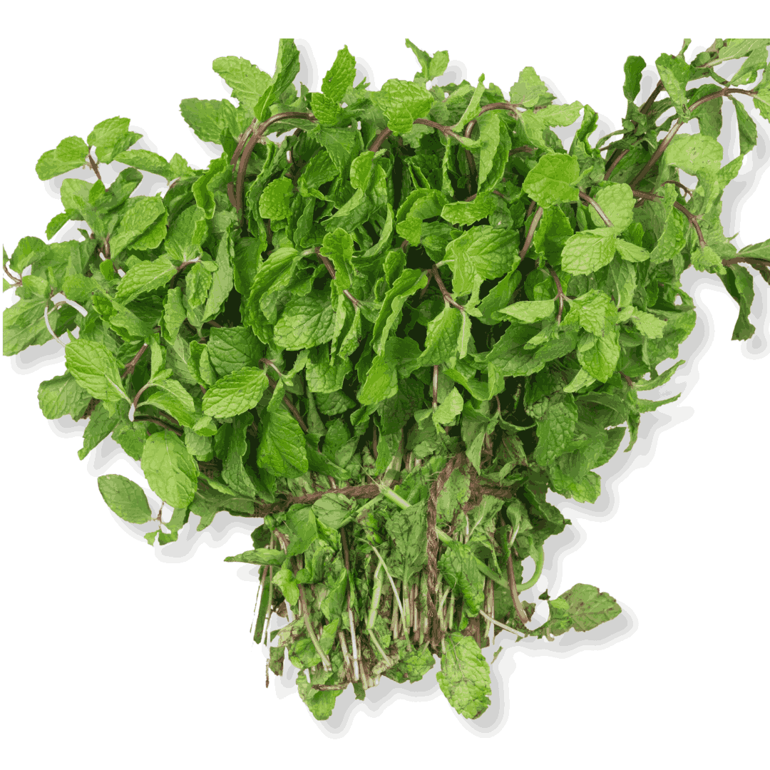 ORGANIC MINT LEAVES