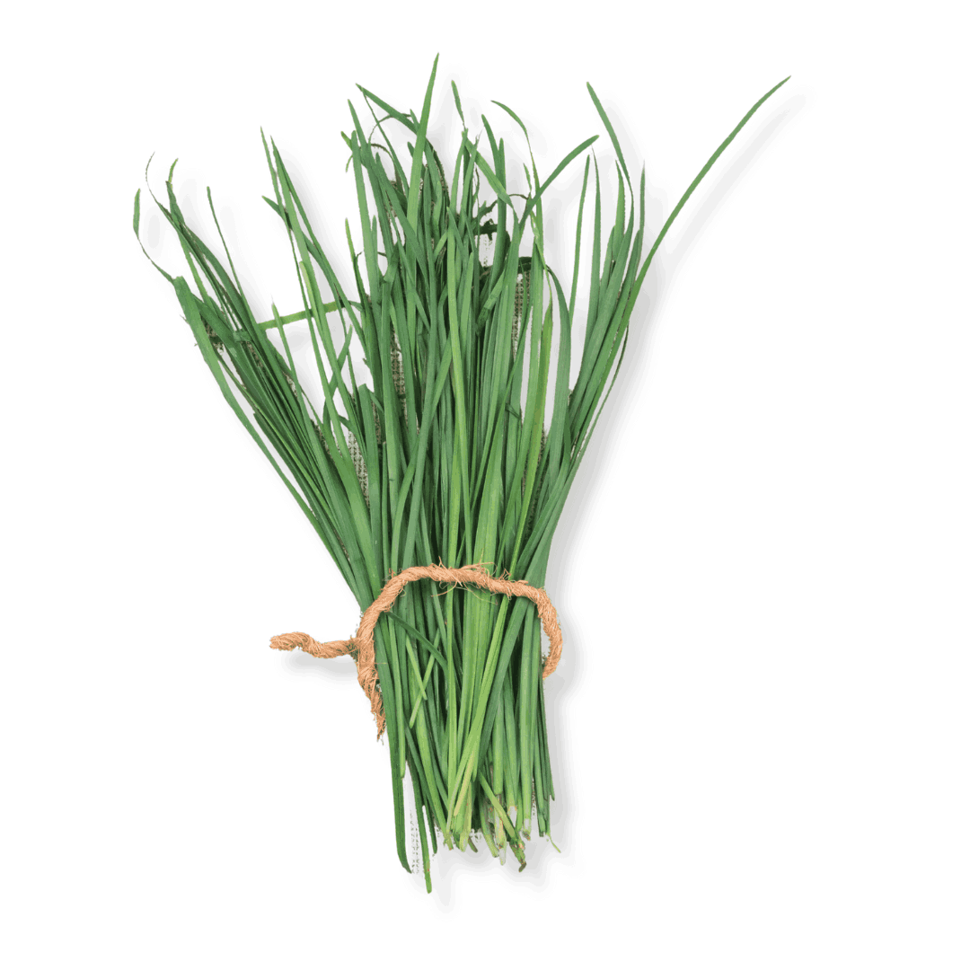 ORGANIC CHIVES