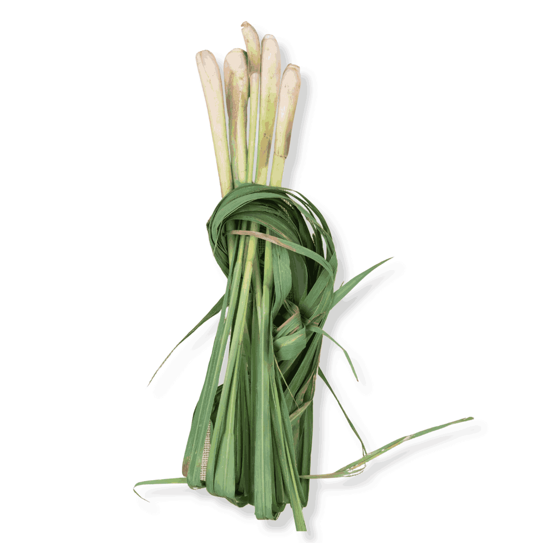 FRESH LEMON GRASS