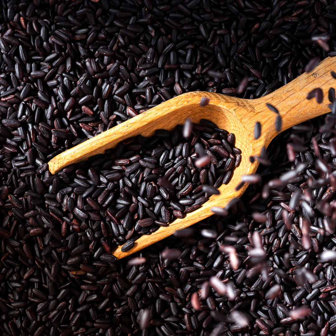 Organic Black Rice- Zama Organics
