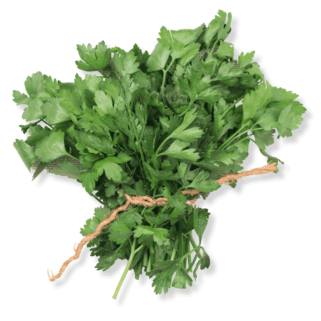 FRESH FLAT PARSLEY