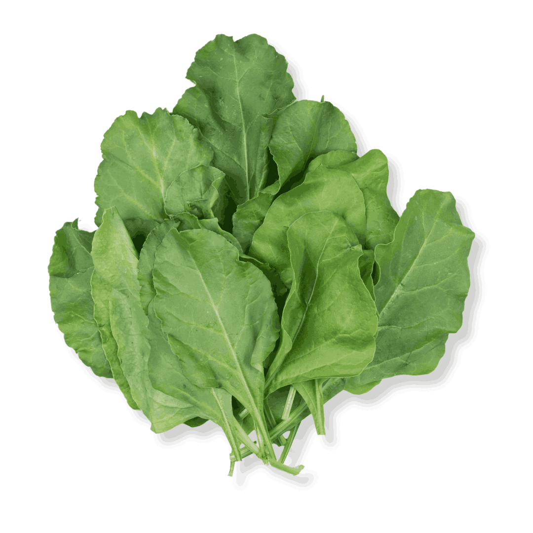 ORGANIC PALAK