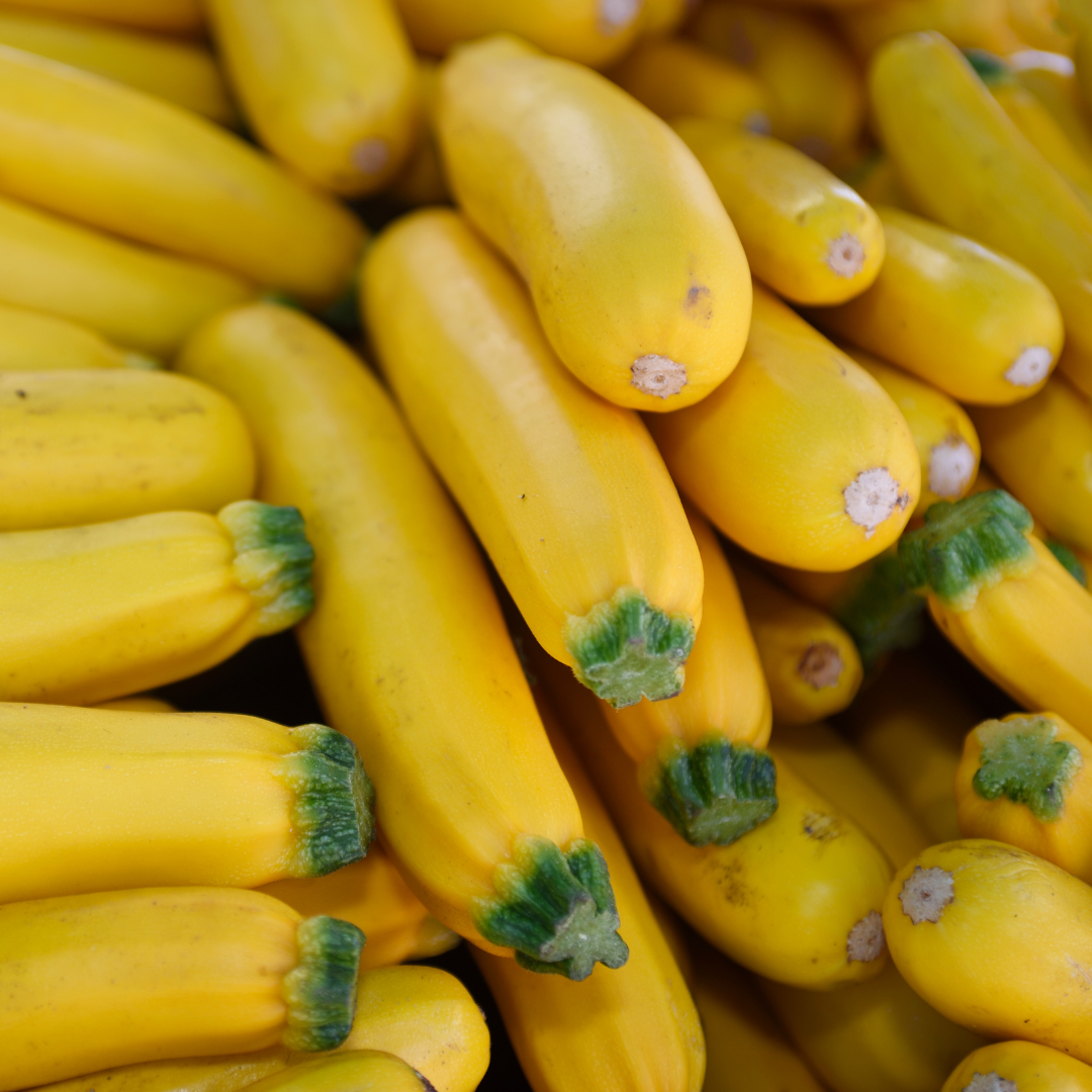 FRESH YELLOW ZUCCHINI