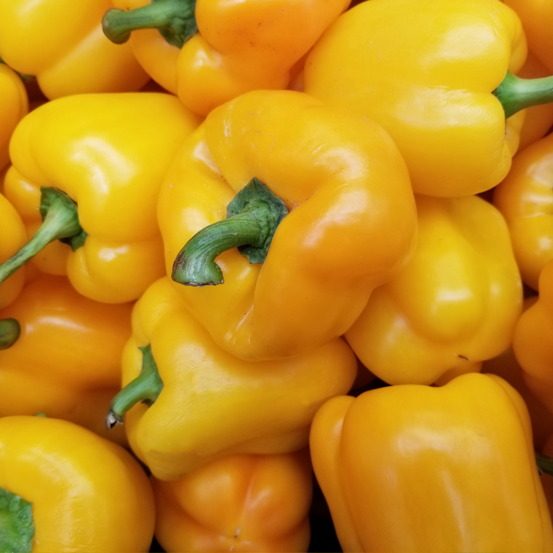 YELLOW BELL PEPPER
