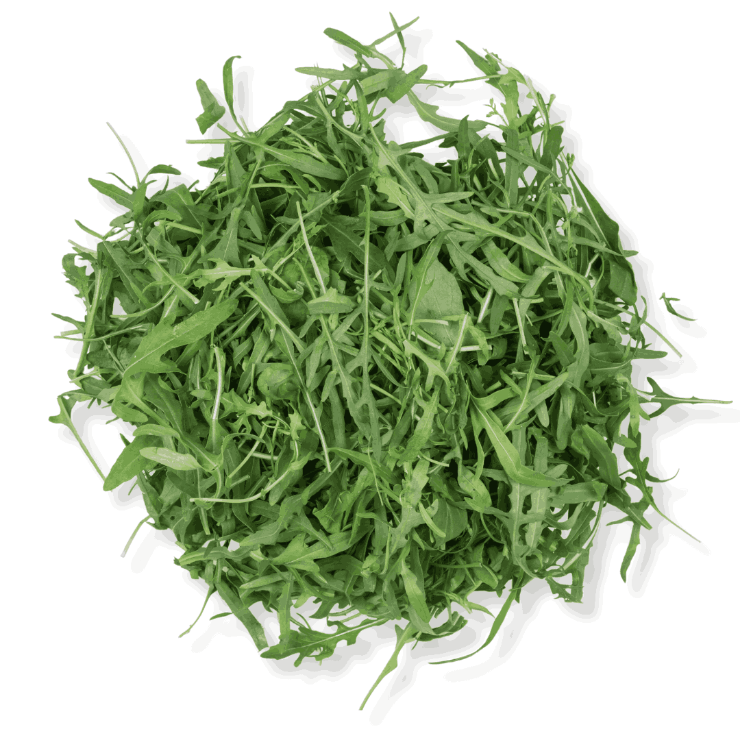 ORGANIC WILD ARUGULA