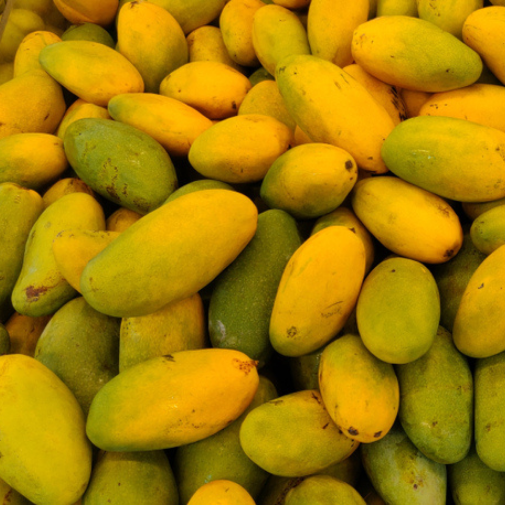 FRESH DASHERI MANGOES