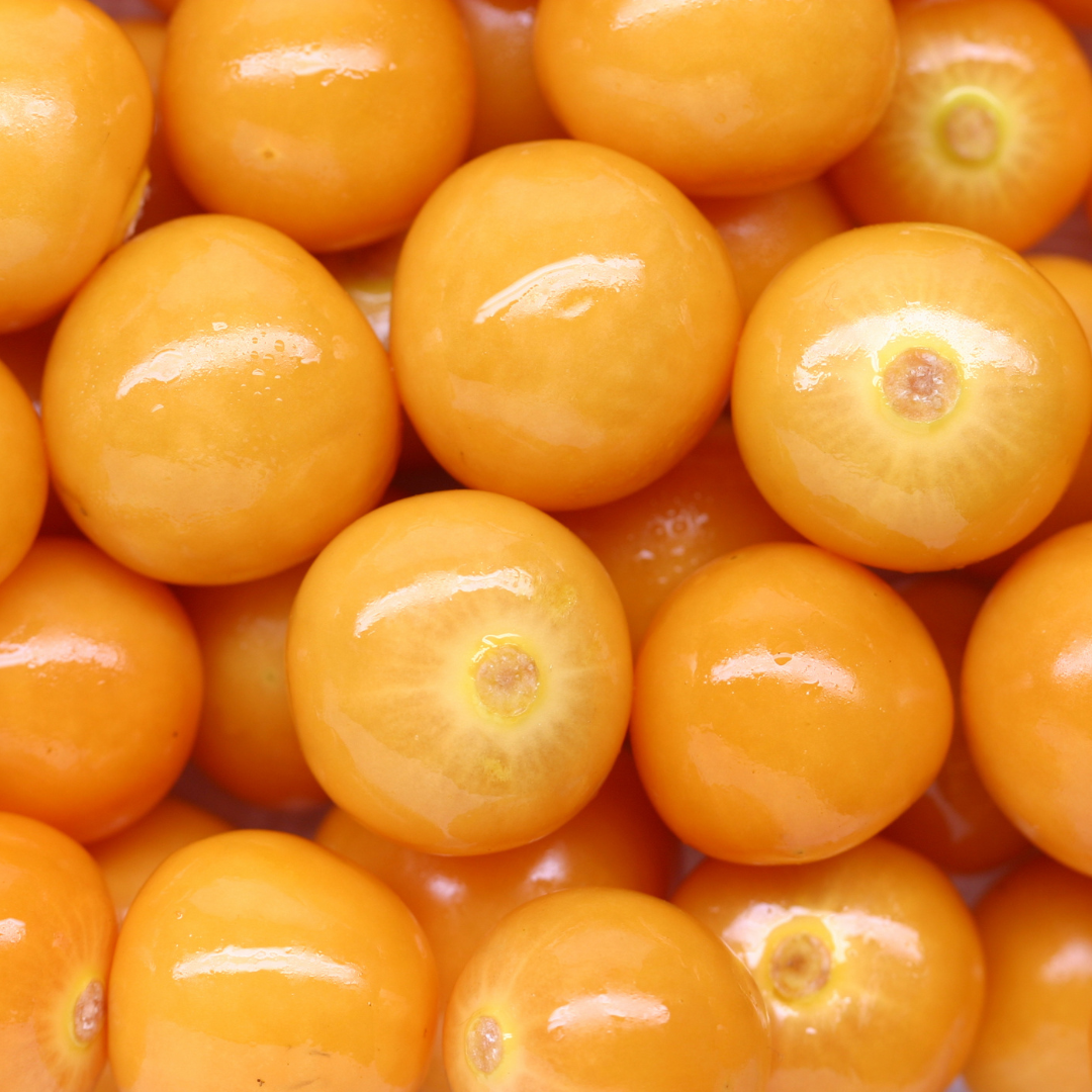 CAPE GOOSEBERRY
