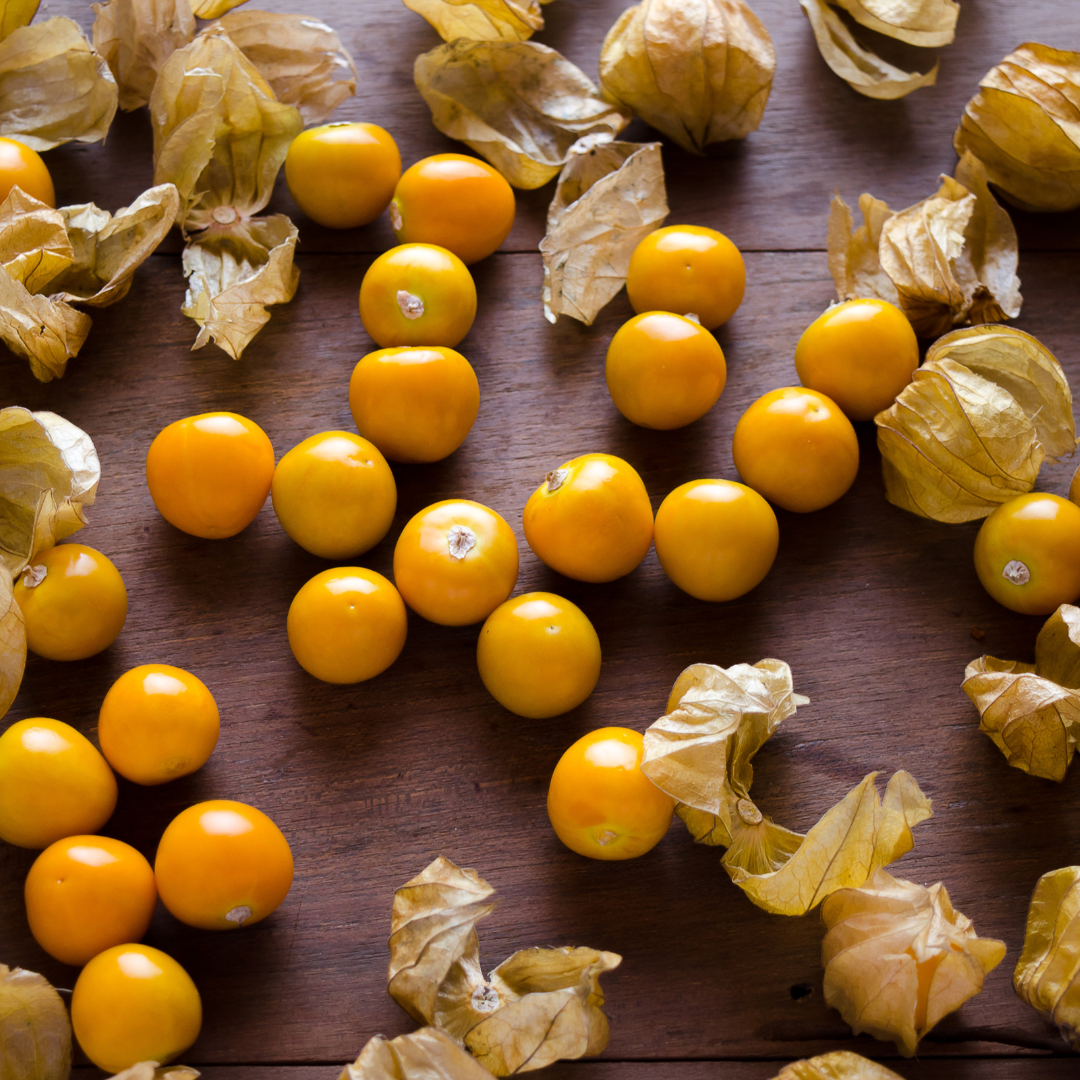 CAPE GOOSEBERRY