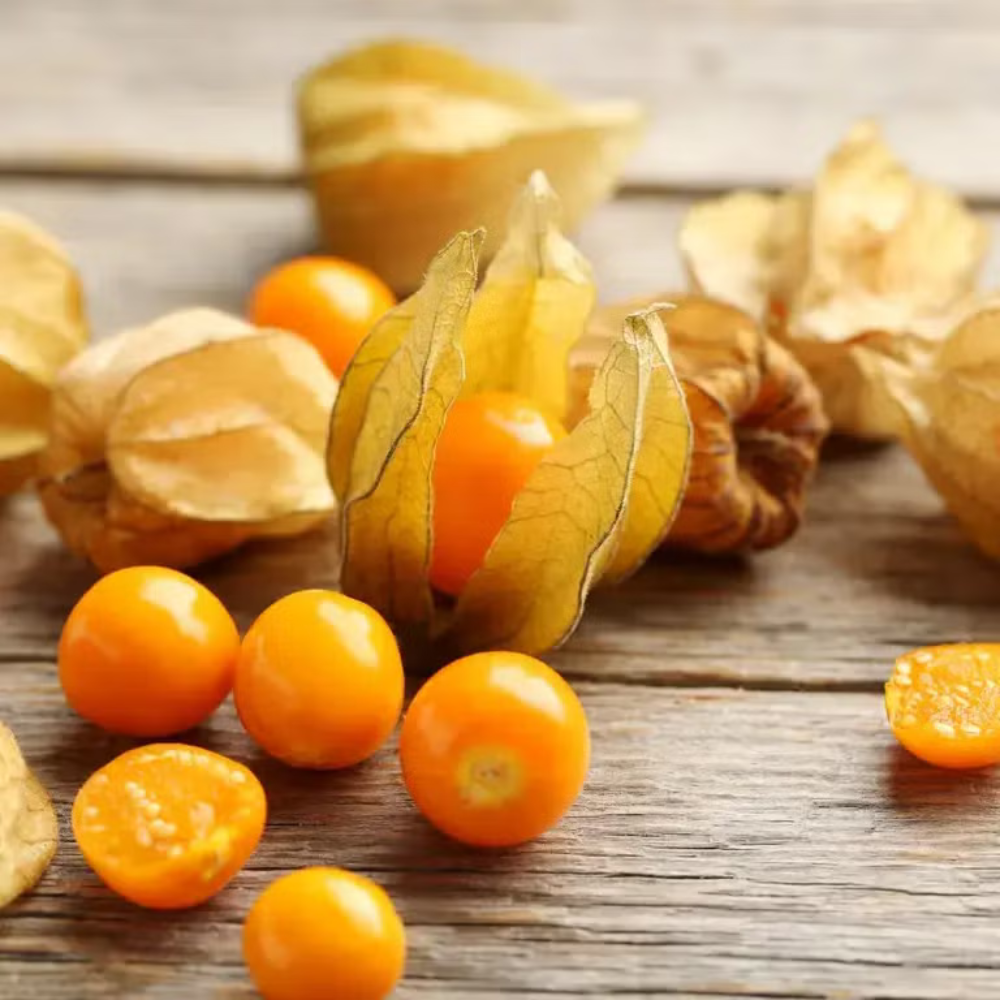 CAPE GOOSEBERRY