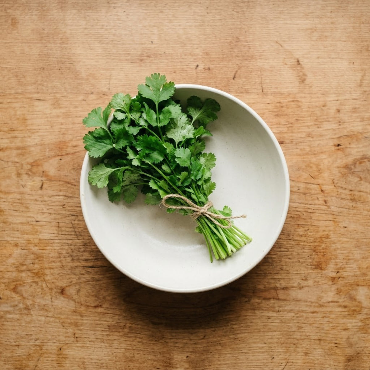 FRESH CORIANDER (WITHOUT ROOTS)