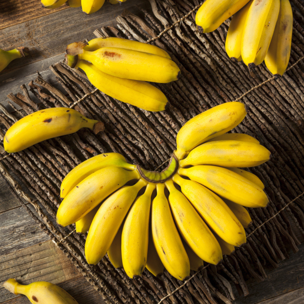 ELAICHEE BANANA