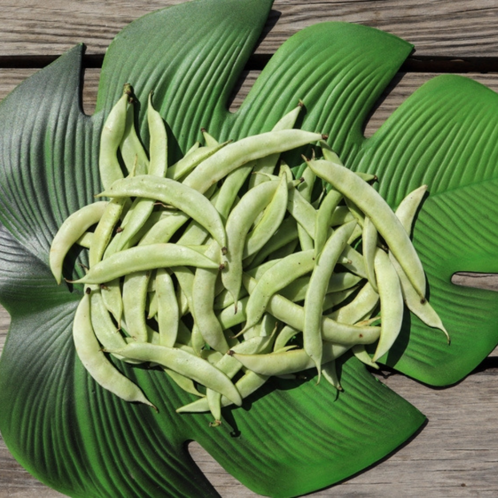 ORGANIC VAL PAPDI