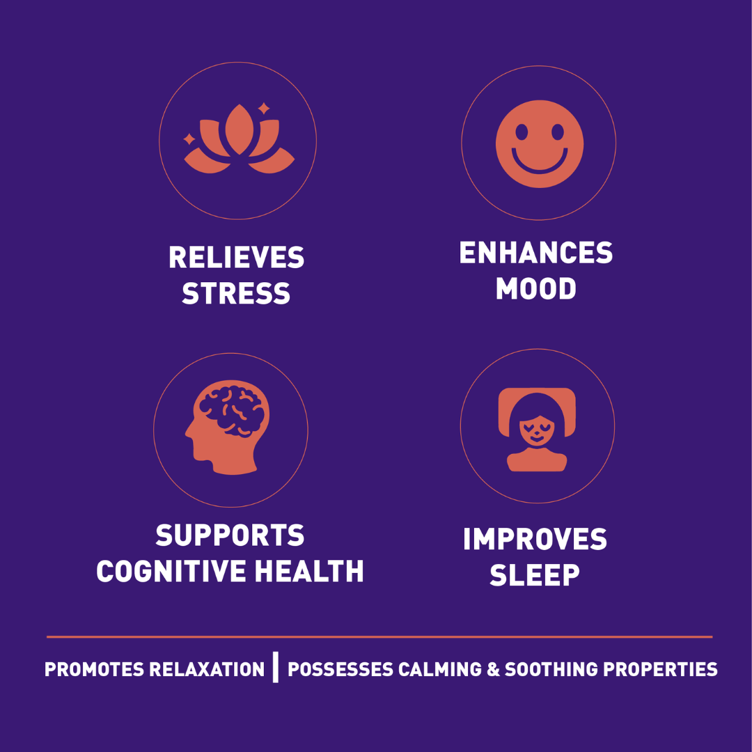 ASHWAGANDHA HOT CHOCOLATE