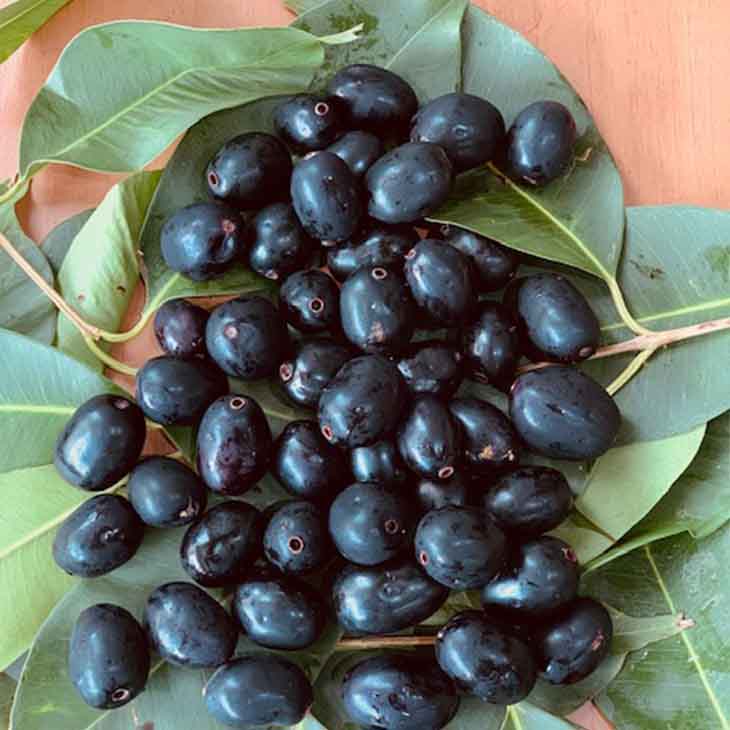 FRESH BLACK JAMUN