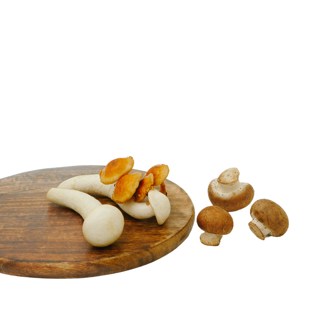 MUSHROOM MIX