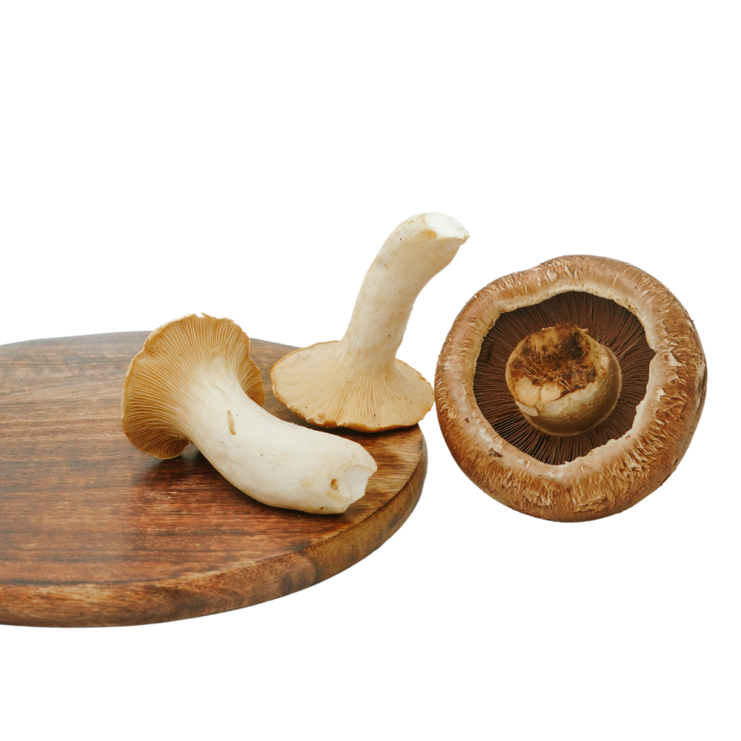 MUSHROOM MIX