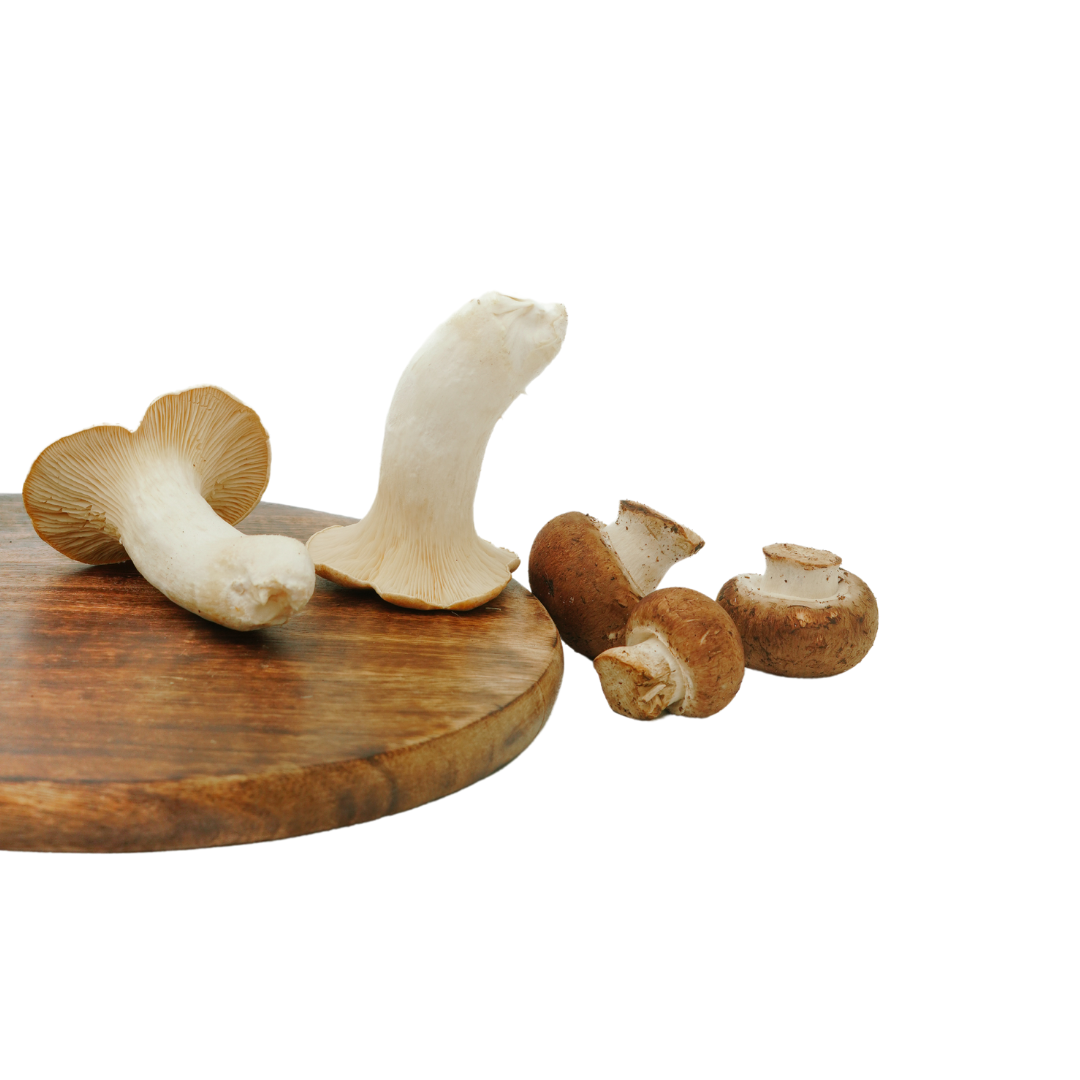 MUSHROOM MIX