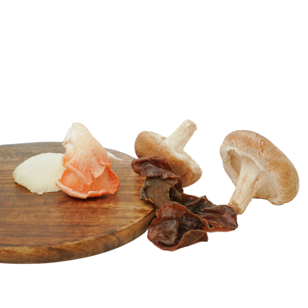MUSHROOM MIX